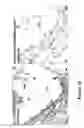 Fig. 37 - ANTAGONIZING INTERLEUKIN-21 RECEPTOR ACTIVITY