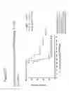 Fig. 41 - ANTAGONIZING INTERLEUKIN-21 RECEPTOR ACTIVITY