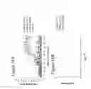 Fig. 57 - ANTAGONIZING INTERLEUKIN-21 RECEPTOR ACTIVITY