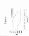 Fig. 60 - ANTAGONIZING INTERLEUKIN-21 RECEPTOR ACTIVITY