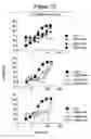 Fig. 04 - Copolymers for suppression of autoimmune diseases, and methods of use