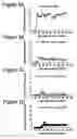 Fig. 07 - Copolymers for suppression of autoimmune diseases, and methods of use