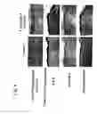 Fig. 09 - Skin vitalizing composition for external use anti-aging preparation