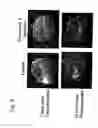 Fig. 10 - Skin vitalizing composition for external use anti-aging preparation