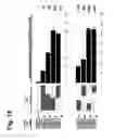 Fig. 22 - EspFnucleic acids and proteins and uses thereof