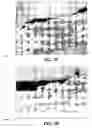 Fig. 06 - Method and reagents for the enhancement of virus transduction in the bladder epithelium