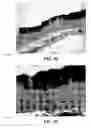 Fig. 07 - Method and reagents for the enhancement of virus transduction in the bladder epithelium