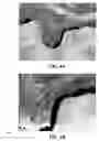 Fig. 08 - Method and reagents for the enhancement of virus transduction in the bladder epithelium