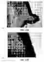 Fig. 25 - Method and reagents for the enhancement of virus transduction in the bladder epithelium