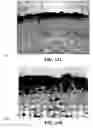 Fig. 26 - Method and reagents for the enhancement of virus transduction in the bladder epithelium