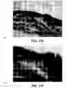 Fig. 28 - Method and reagents for the enhancement of virus transduction in the bladder epithelium