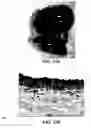 Fig. 31 - Method and reagents for the enhancement of virus transduction in the bladder epithelium