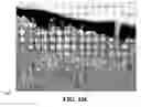 Fig. 34 - Method and reagents for the enhancement of virus transduction in the bladder epithelium