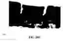 Fig. 54 - Method and reagents for the enhancement of virus transduction in the bladder epithelium