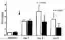 Fig. 01 - Therapy of Kidney Diseases and Multiorgan Failure with Mesenchymal Stem Cells and Mesenchymal Stem Cell Conditioned Media