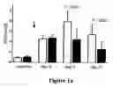 Fig. 02 - Therapy of Kidney Diseases and Multiorgan Failure with Mesenchymal Stem Cells and Mesenchymal Stem Cell Conditioned Media