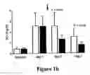 Fig. 03 - Therapy of Kidney Diseases and Multiorgan Failure with Mesenchymal Stem Cells and Mesenchymal Stem Cell Conditioned Media