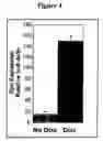 Fig. 08 - Therapy of Kidney Diseases and Multiorgan Failure with Mesenchymal Stem Cells and Mesenchymal Stem Cell Conditioned Media