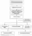 Fig. 01 - Procurement, isolation and cryopreservation of endometrial/menstrual cells