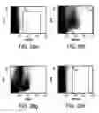 Fig. 31 - Procurement, isolation and cryopreservation of endometrial/menstrual cells