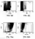 Fig. 32 - Procurement, isolation and cryopreservation of endometrial/menstrual cells