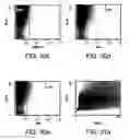 Fig. 33 - Procurement, isolation and cryopreservation of endometrial/menstrual cells