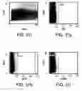 Fig. 35 - Procurement, isolation and cryopreservation of endometrial/menstrual cells