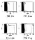 Fig. 40 - Procurement, isolation and cryopreservation of endometrial/menstrual cells
