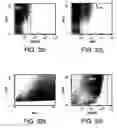 Fig. 43 - Procurement, isolation and cryopreservation of endometrial/menstrual cells