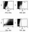 Fig. 44 - Procurement, isolation and cryopreservation of endometrial/menstrual cells