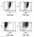 Fig. 46 - Procurement, isolation and cryopreservation of endometrial/menstrual cells