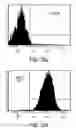 Fig. 49 - Procurement, isolation and cryopreservation of endometrial/menstrual cells