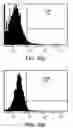 Fig. 56 - Procurement, isolation and cryopreservation of endometrial/menstrual cells