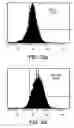 Fig. 57 - Procurement, isolation and cryopreservation of endometrial/menstrual cells