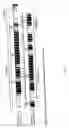 Fig. 02 - Methods and compositions for targeting proteins across the blood brain barrier