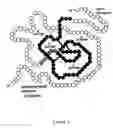 Fig. 03 - Methods and compositions for targeting proteins across the blood brain barrier