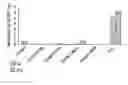 Fig. 01 - Dental Composition Comprising Enzyme