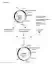 Fig. 05 - Nucleic acids encoding Human Engineered heavy and light chain variable region sequences to Ep-CAM