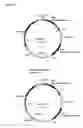 Fig. 12 - Nucleic acids encoding Human Engineered heavy and light chain variable region sequences to Ep-CAM