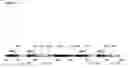 Fig. 15 - Nucleic acids encoding Human Engineered heavy and light chain variable region sequences to Ep-CAM