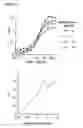 Fig. 22 - Nucleic acids encoding Human Engineered heavy and light chain variable region sequences to Ep-CAM