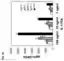 Fig. 12 - METHODS AND COMPOSITIONS FOR MODULATING IL-17F/IL-17A BIOLOGICAL ACTIVITY