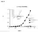 Fig. 17 - METHODS AND COMPOSITIONS FOR MODULATING IL-17F/IL-17A BIOLOGICAL ACTIVITY