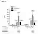 Fig. 20 - METHODS AND COMPOSITIONS FOR MODULATING IL-17F/IL-17A BIOLOGICAL ACTIVITY
