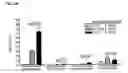 Fig. 25 - METHODS AND COMPOSITIONS FOR MODULATING IL-17F/IL-17A BIOLOGICAL ACTIVITY