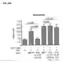 Fig. 27 - METHODS AND COMPOSITIONS FOR MODULATING IL-17F/IL-17A BIOLOGICAL ACTIVITY