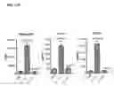 Fig. 30 - METHODS AND COMPOSITIONS FOR MODULATING IL-17F/IL-17A BIOLOGICAL ACTIVITY