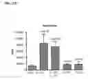 Fig. 32 - METHODS AND COMPOSITIONS FOR MODULATING IL-17F/IL-17A BIOLOGICAL ACTIVITY