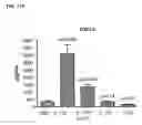 Fig. 34 - METHODS AND COMPOSITIONS FOR MODULATING IL-17F/IL-17A BIOLOGICAL ACTIVITY