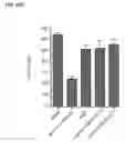 Fig. 37 - METHODS AND COMPOSITIONS FOR MODULATING IL-17F/IL-17A BIOLOGICAL ACTIVITY